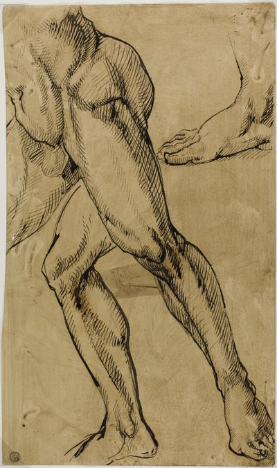Ben og fødder af mandlige nøgen af Michelangelo Buonarroti