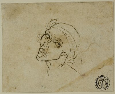 Mandligt hoved af Michelangelo Buonarroti