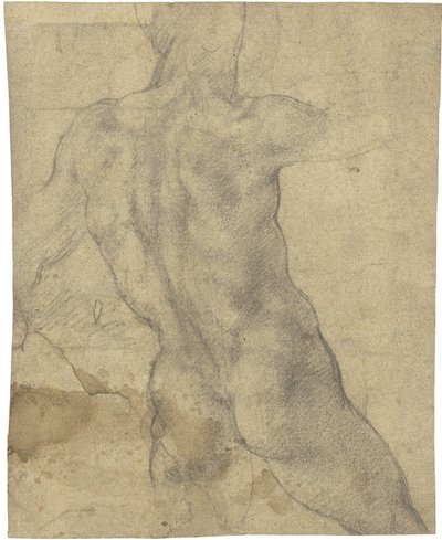 Mand nøgen af Michelangelo Buonarroti