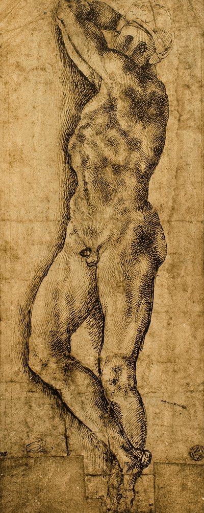Mand nøgen; tegning af Michelangelo. Louvre, Paris af Michelangelo Buonarroti