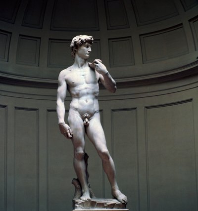 Michelangelos David, 1500-tallet af Michelangelo Buonarroti