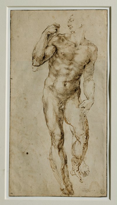 Mandlig nøgen, set forfra, ca. 1502-1506 ... af Michelangelo Buonarroti