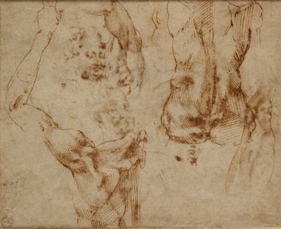 Nøgenstudier, c1490-1560 af Michelangelo Buonarroti