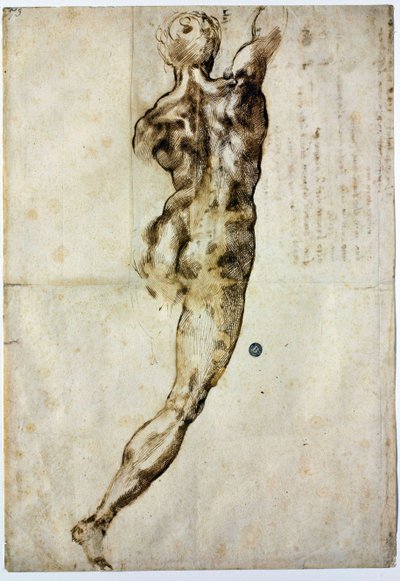 Nøgen bagfra, ca. 1504 af Michelangelo Buonarroti