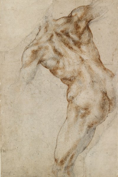 Nøgen mandlig Torso, begyndelsen af det 16. århundrede af Michelangelo Buonarroti