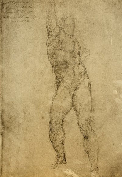 Nøgenstudie, tegning af Michelangelo. Gallerie dellAccademia, Venedig af Michelangelo Buonarroti