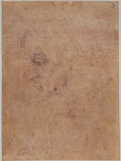 Profil af en gammel kvinde af Michelangelo Buonarroti