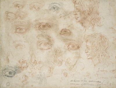 Studies of Two Heads, ca. 1525 (kridt på papir) af Michelangelo Buonarroti