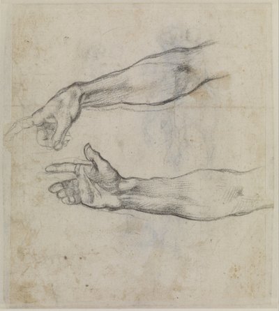 Studier af en udstrakt arm til freskoen "Noahs beruselse" i Det Sixtinske Kapel, ca. 1508-09 (sort kridt på papir) af Michelangelo Buonarroti