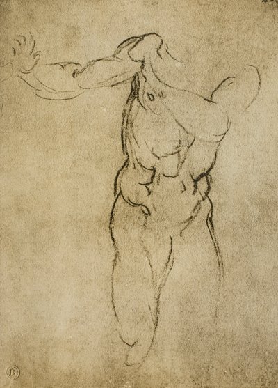 Studie til en maskulin buste, tegning af Michelangelo. Casa Buonarroti, Firenze af Michelangelo Buonarroti