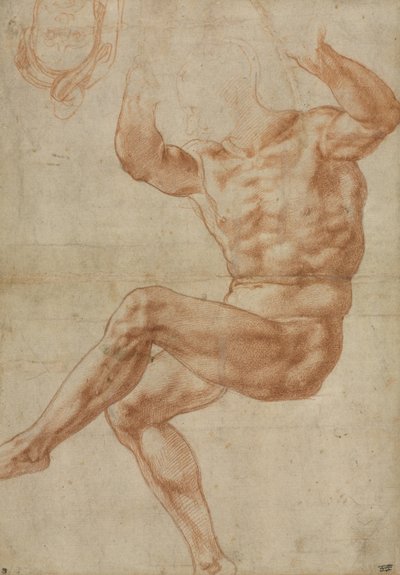 Studie for de nøgne unge over profeten Daniel, for det sixtinske loft, 1510-11 af Michelangelo Buonarroti