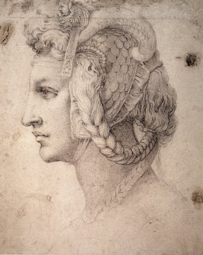 Studie af hovedet af Michelangelo Buonarroti