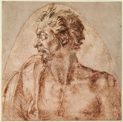 Studie af hoved og skuldre (blæk på papir) af Michelangelo Buonarroti