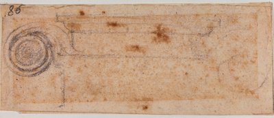 Undersøgelse af ionisk kapital af Michelangelo Buonarroti