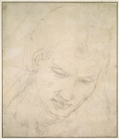 Studie af et hoved (sort kridt på hvidt papir) af Michelangelo Buonarroti
