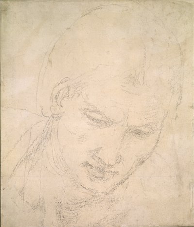 Studie af et hoved, c1490-1560 af Michelangelo Buonarroti