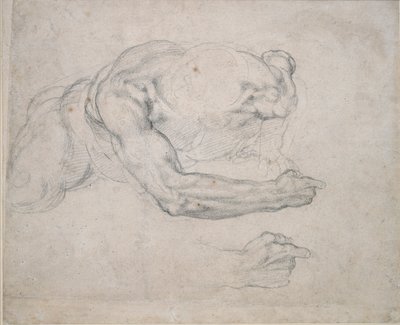 Studie af en mand, der rejser sig fra jorden, 1500-tallet af Michelangelo Buonarroti