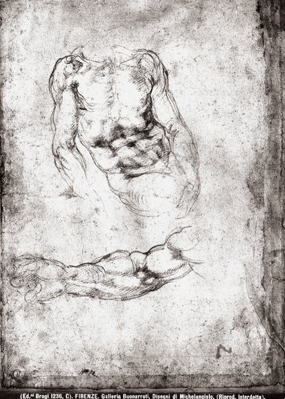 Studie af en mandlig torso og arm af Michelangelo Buonarroti