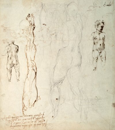 Studie af Kristusbarnet og en anatomisk tegning med noter (sort kridt og brunt blæk på papir) (verso) af Michelangelo Buonarroti