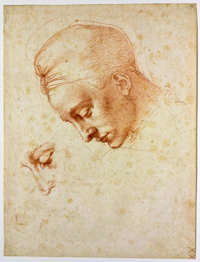 Studer til lederen af Leda, ca 1530 af Michelangelo Buonarroti