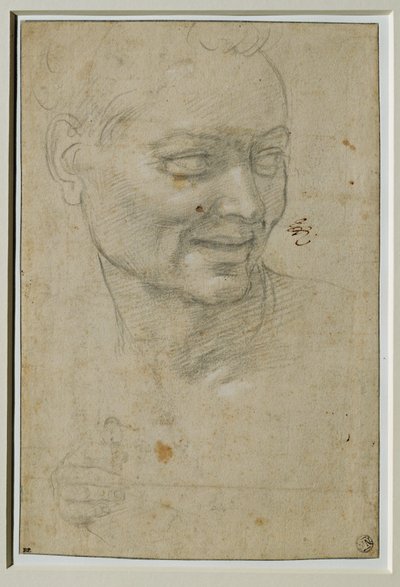 Hoved og højre hånd af ignudo over og til venstre for Esajas, ved hvælvingen i Capella Sistina ... af Michelangelo Buonarroti