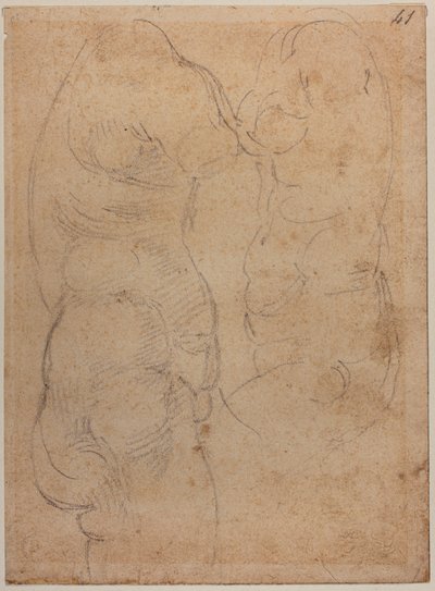 To studier af en gammel Venus af Michelangelo Buonarroti