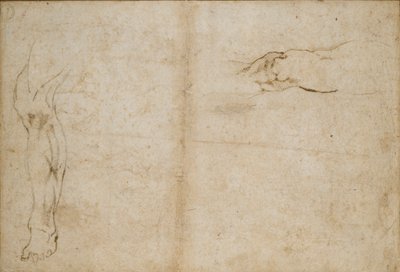 Bagside: Studier af en mands ben, c1490-1560 af Michelangelo Buonarroti