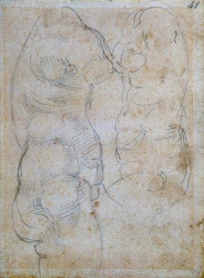 To undersøgelser baseret på en gammel kvindes torso af Michelangelo Buonarroti