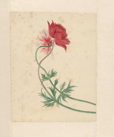 To grene med hver en blomst af Michiel Van Huysum