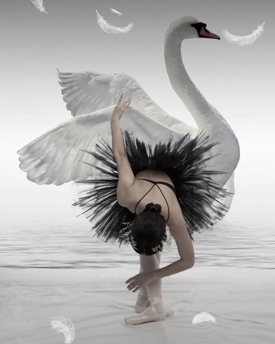 Black Swan-ballerina af Mieke