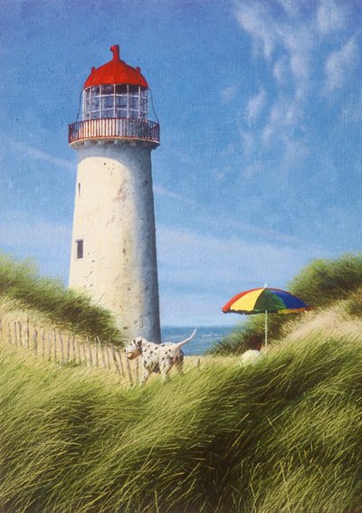 En dag i klitterne af Mike Briscoe