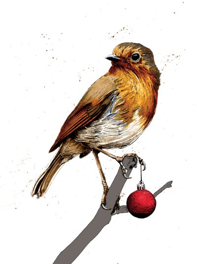 Christmas Robin on White, 2020 af Mike Davis