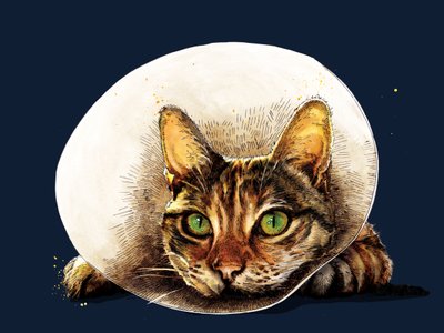 Få det godt Kat på Midnight Blue, 2020 af Mike Davis