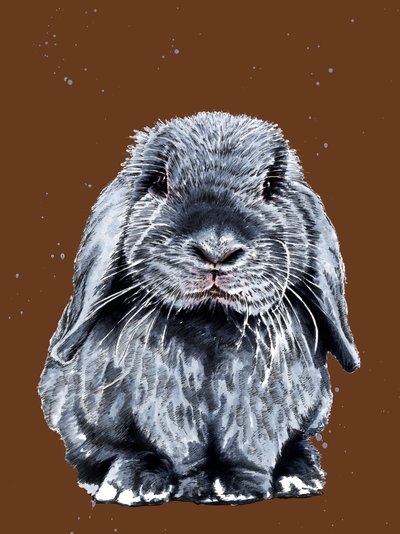 Grey One The Bunny on Burnt Orange, 2020 af Mike Davis