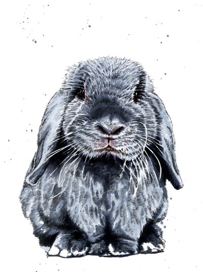 Grey One The Bunny on White, 2019 af Mike Davis