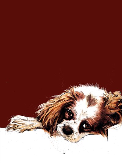 Meg The Spaniel on Red Oxide, 2020 af Mike Davis