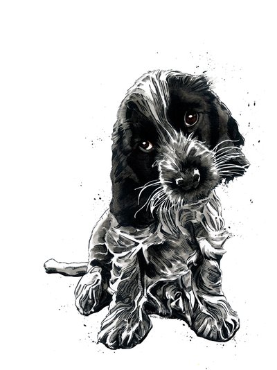 Rosie The Cocker Spaniel på hvidt, 2019 af Mike Davis