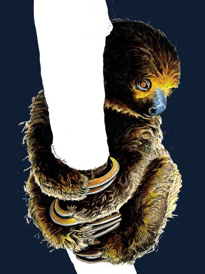 Talita The Sloth on Midnight Blue, 2020 af Mike Davis