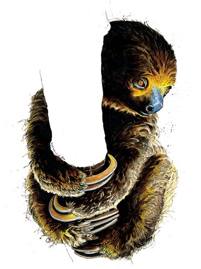 Talita The Sloth on White, 2019 af Mike Davis