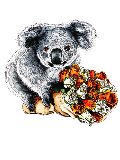 Tak Koala på hvidt, 2020 af Mike Davis