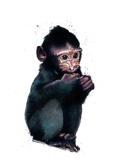 The Baby Makaque on White, 2020 af Mike Davis