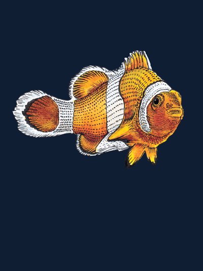 Klovnefisken på midnatsblå, 2022 af Mike Davis