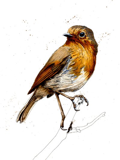 The Robin on White, 2019 af Mike Davis