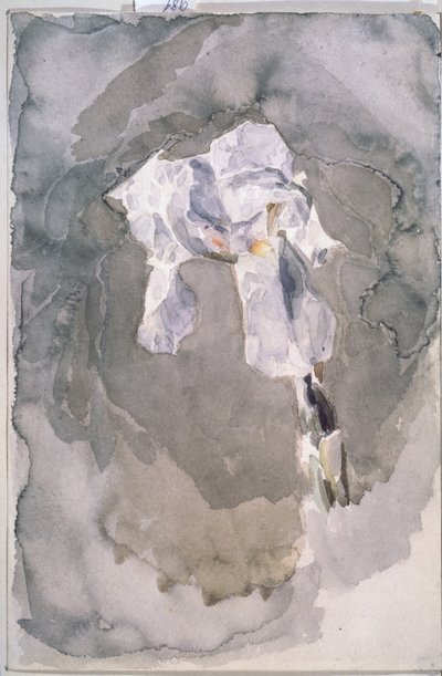 Hvid iris af Mikhail Aleksandrovich Vrubel