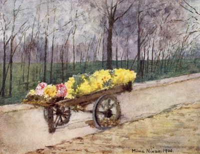 Bulb Time, Haarlem (farve litho) af Mima Nixon