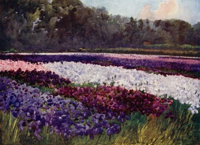 "I smaragdtopper, blomster lilla, blå og hvide, som safir, perler og rigt broderi" (farve litho) af Mima Nixon