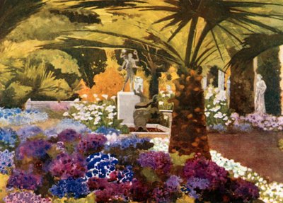 Cinerarias, Achilleion, Korfu af Mima Nixon