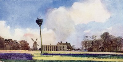 Storkenes tilbagevenden (farve litho) af Mima Nixon