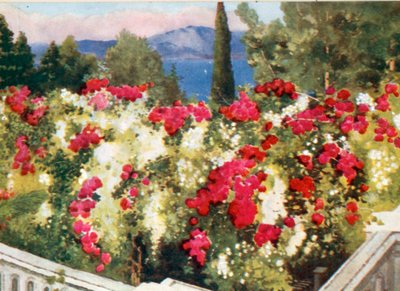 Rose Pergola, Achilleion, Korfu af Mima Nixon