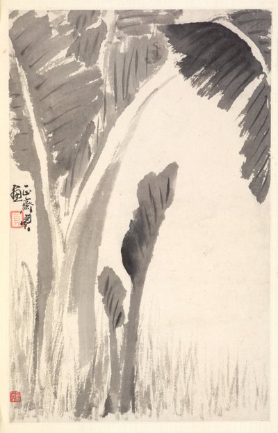 Bananplanter, 1788. af Min Zhen